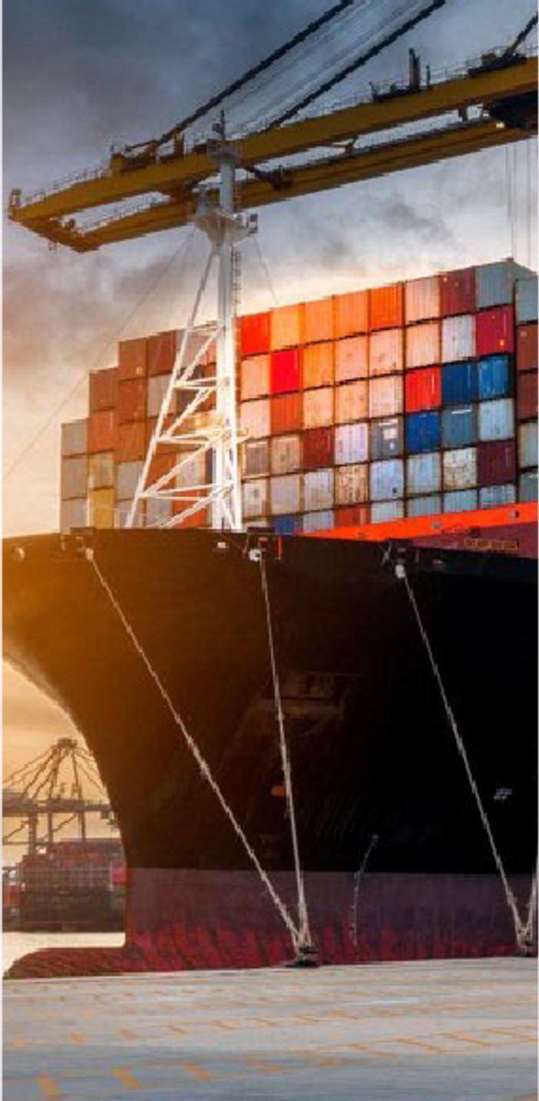 Portfolio - Asia Banff International Trading Corporation